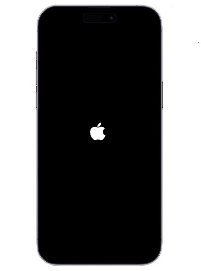 iPhone出現白蘋果畫面