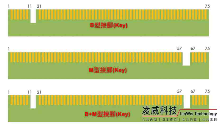 SSD接腳類型 SSD接腳類型